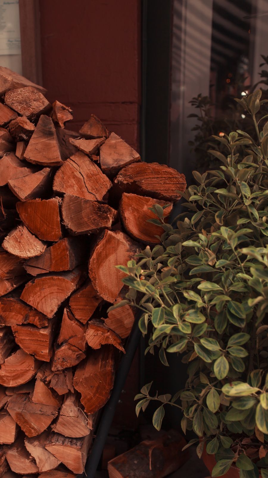 Foto Andando pelo Brooklyn - NYC - Imagem 4