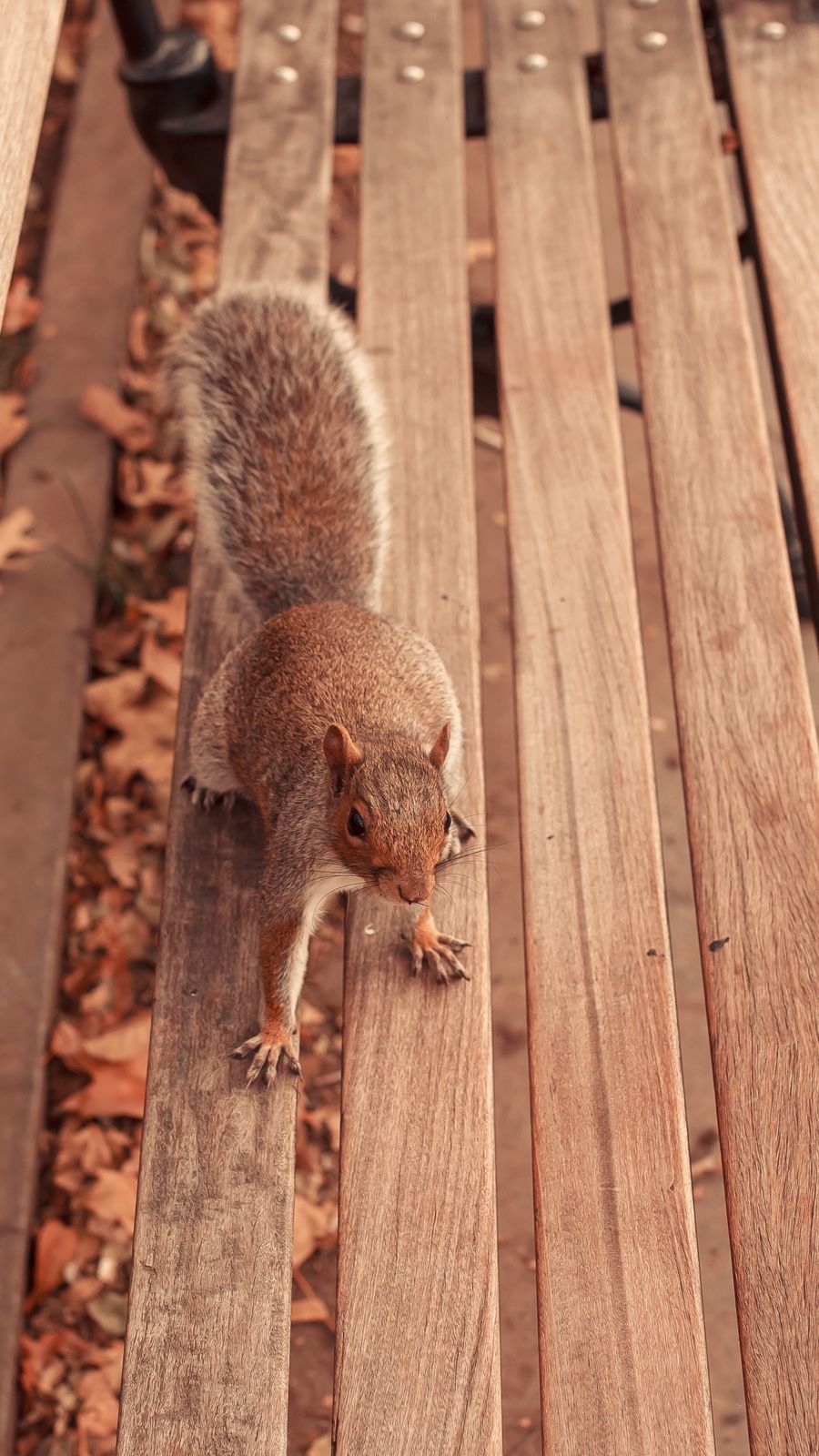 Foto Andando pelo Brooklyn - NYC - Imagem 12