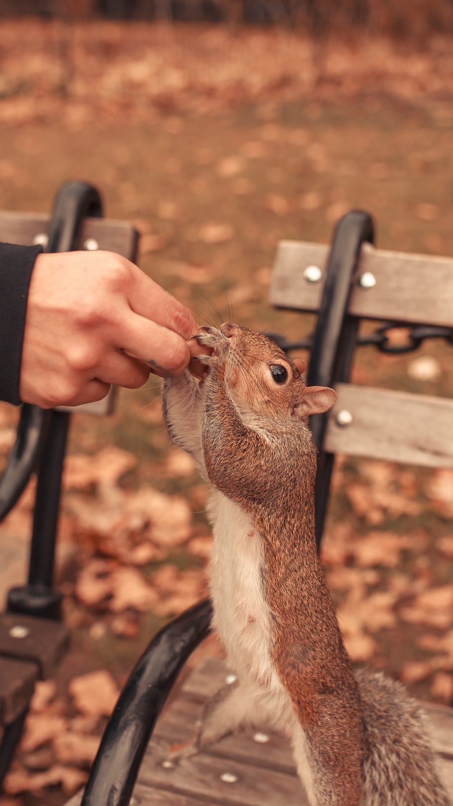 Foto Andando pelo Brooklyn - NYC - Imagem 10